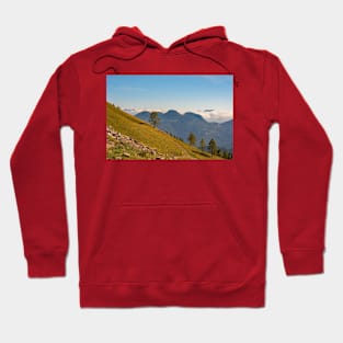 Monte Morgenleit in North Italian Alps Hoodie